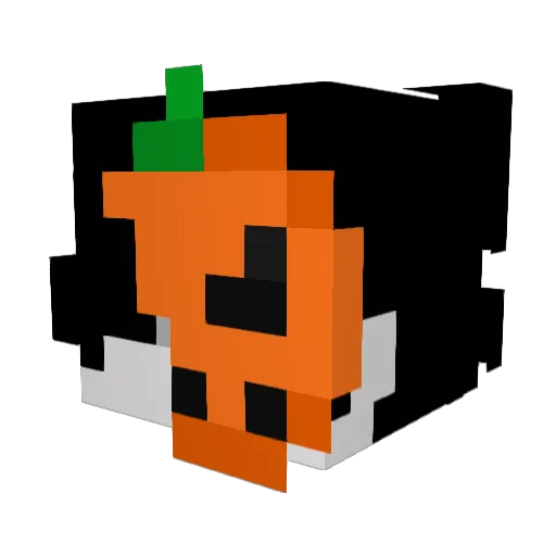 pro_rayyan Minecraft avatar head, 3D render