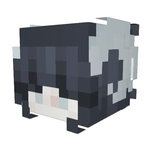probablyazzy Minecraft avatar head, 3D render