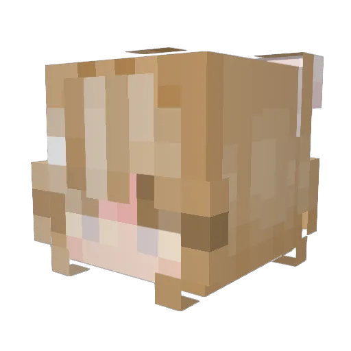 probablynoele Minecraft avatar head, 3D render