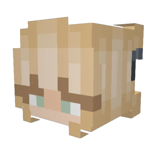 probieee Minecraft avatar head, 3D render