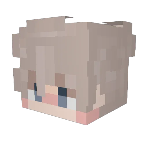 problemliyim Minecraft avatar head, 3D render