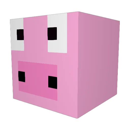 probro19 Minecraft avatar head, 3D render