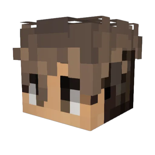 prodbetrayal Minecraft avatar head, 3D render