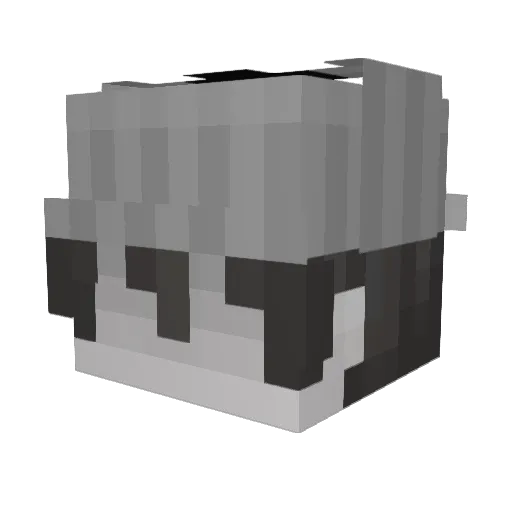 prof_lurantis Minecraft avatar head, 3D render