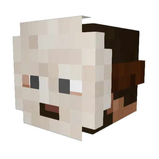 profee_ Minecraft avatar head, 3D render