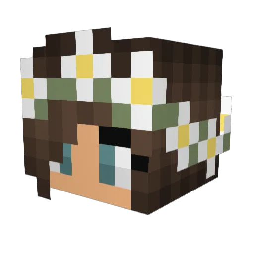 professorpig7248 Minecraft avatar head, 3D render