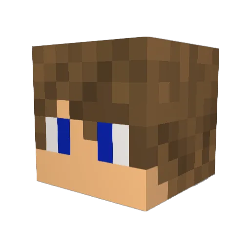 profi3103 Minecraft avatar head, 3D render