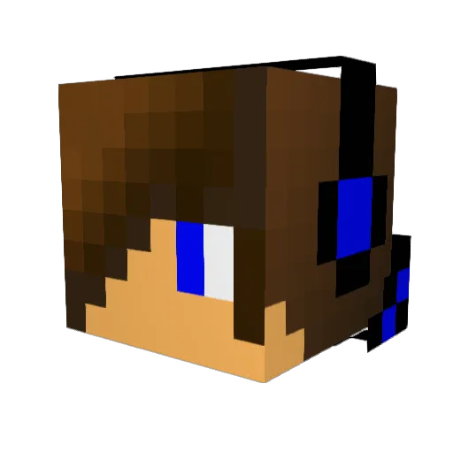 profilman20 Minecraft avatar head, 3D render