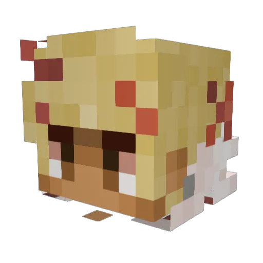 profxmpreg Minecraft avatar head, 3D render