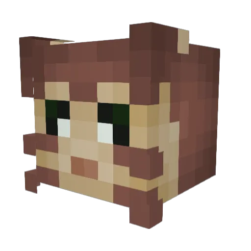 progameplayer420 Minecraft avatar head, 3D render