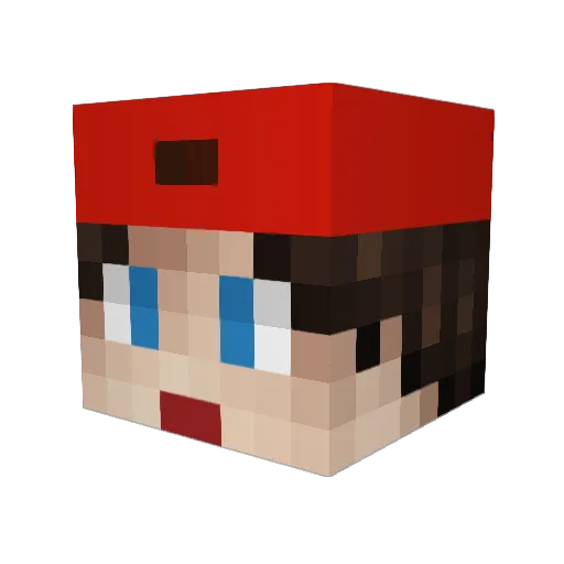 prohidde Minecraft avatar head, 3D render