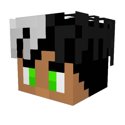 projectzytav1 Minecraft avatar head, 3D render