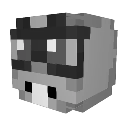 projetotudo Minecraft avatar head, 3D render