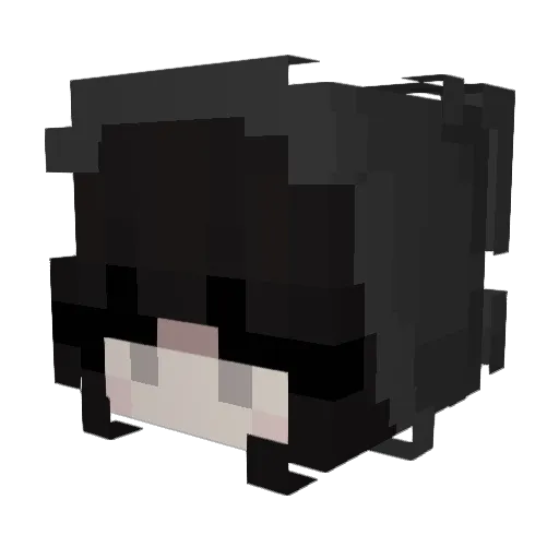 prokasmusic Minecraft avatar head, 3D render