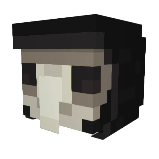 prolapsingshark Minecraft avatar head, 3D render