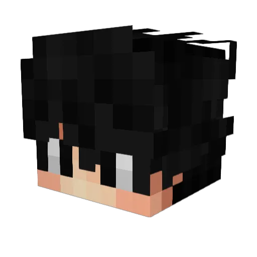 proob Minecraft avatar head, 3D render