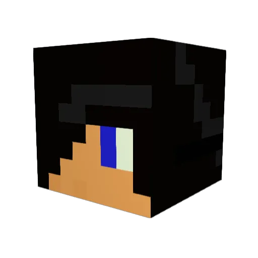proohumaan Minecraft avatar head, 3D render
