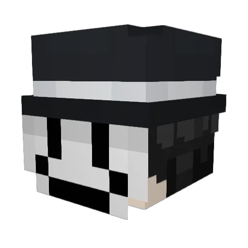 propellaaja Minecraft avatar head, 3D render