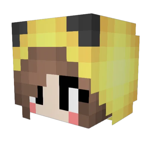propika8724 Minecraft avatar head, 3D render