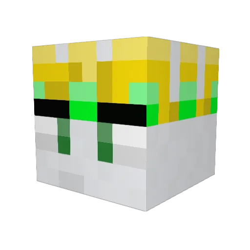 propillow5531 Minecraft avatar head, 3D render