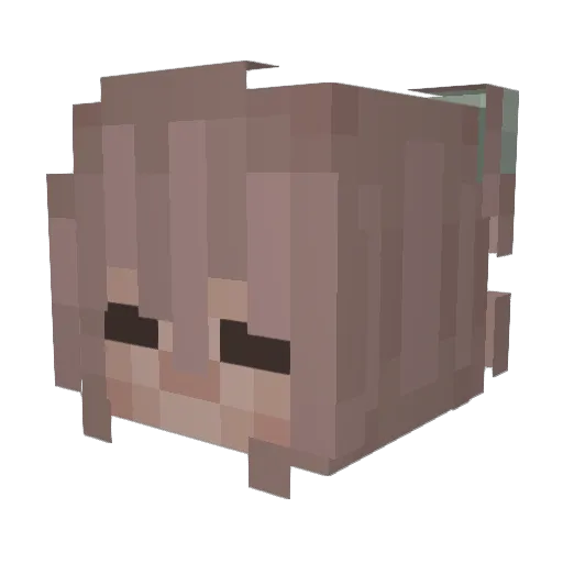 proplayerin Minecraft avatar head, 3D render