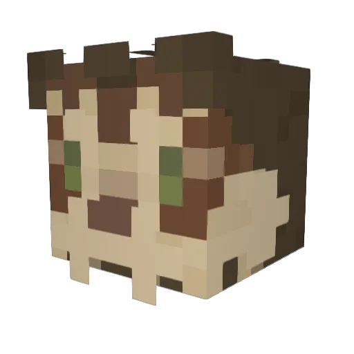 proseccogecko Minecraft avatar head, 3D render