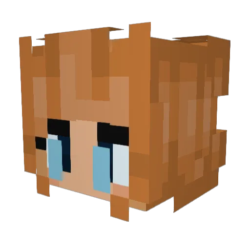 proste_naty Minecraft avatar head, 3D render
