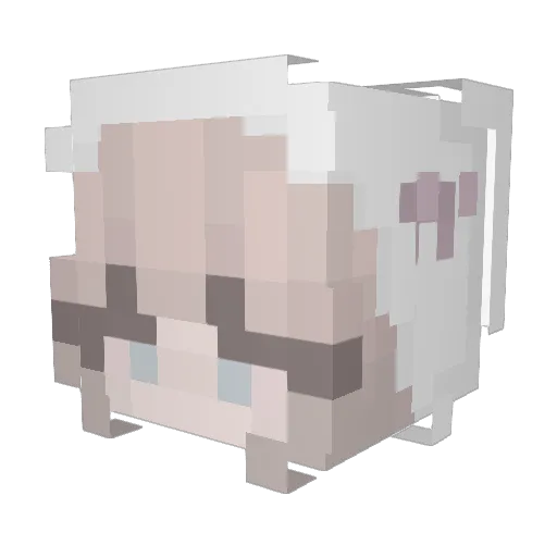 proteingirl Minecraft avatar head, 3D render