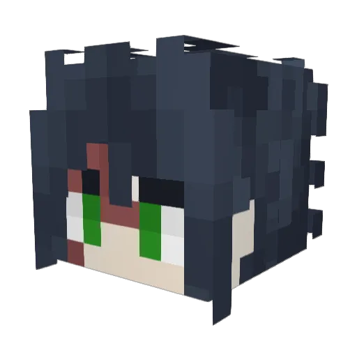 protense Minecraft avatar head, 3D render