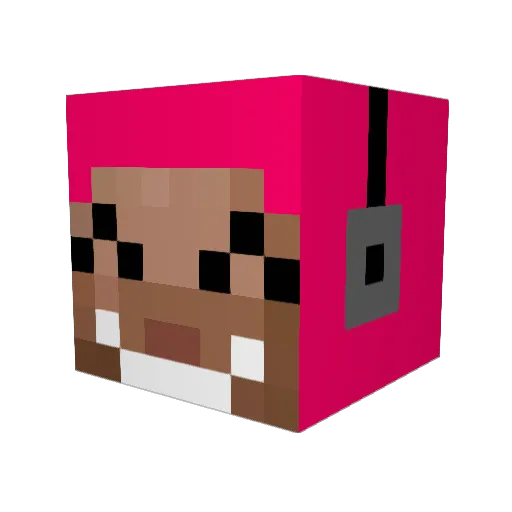 proth321 Minecraft avatar head, 3D render