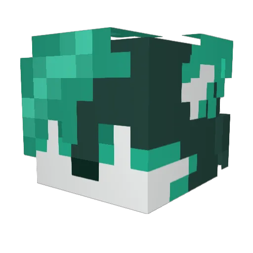 protheabsolute1 Minecraft avatar head, 3D render