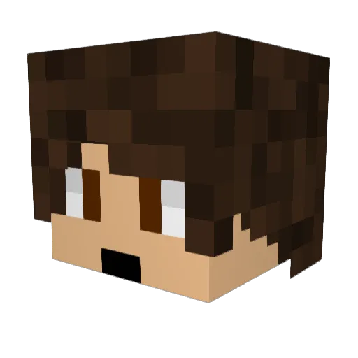 protocol125 Minecraft avatar head, 3D render