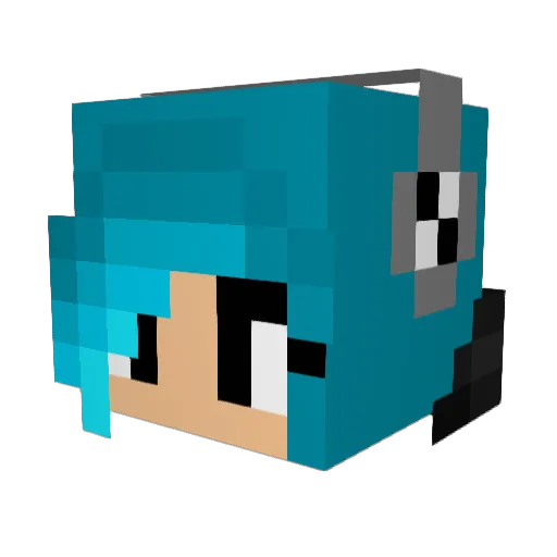 proud25cx Minecraft avatar head, 3D render