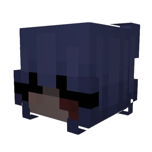 proudekitten Minecraft avatar head, 3D render