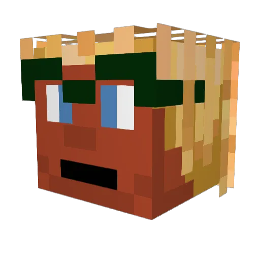 proudsook_ Minecraft avatar head, 3D render