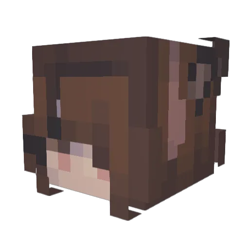 provoqe Minecraft avatar head, 3D render