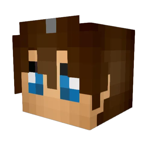 provton Minecraft avatar head, 3D render