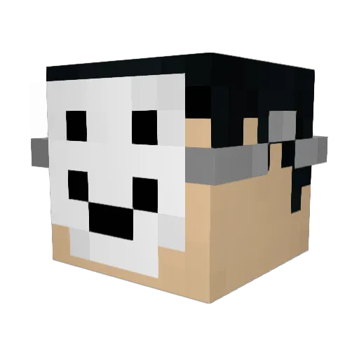 prowindexdrinker Minecraft avatar head, 3D render