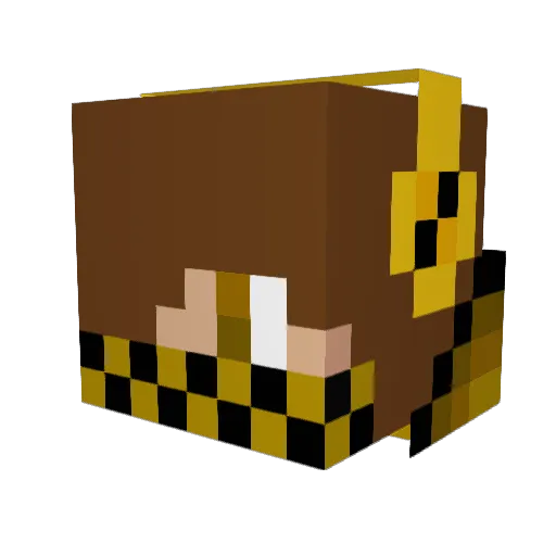 proxjimmy Minecraft avatar head, 3D render