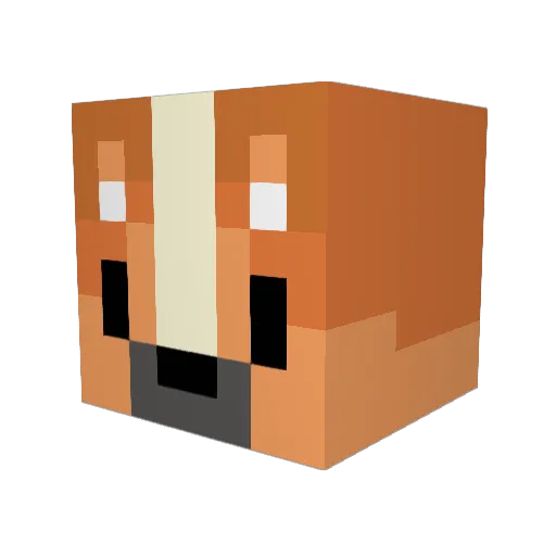 proxnel Minecraft avatar head, 3D render