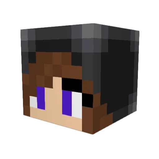 proxy72 Minecraft avatar head, 3D render