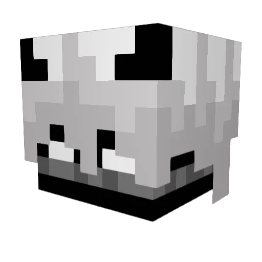 proyotajrask Minecraft avatar head, 3D render