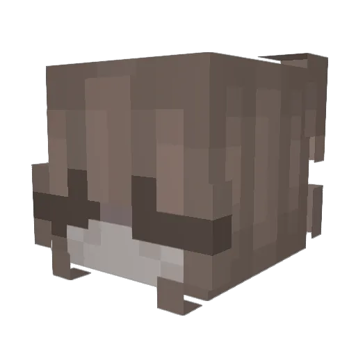 prri Minecraft avatar head, 3D render
