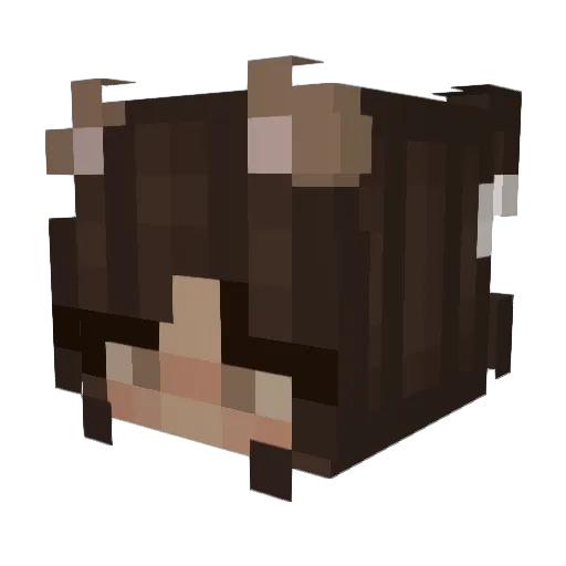 prttypuppy Minecraft avatar head, 3D render