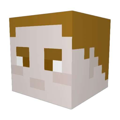 prule Minecraft avatar head, 3D render