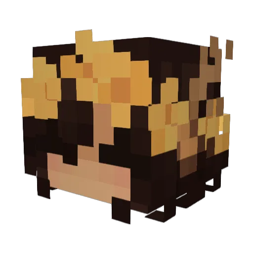 pryily Minecraft avatar head, 3D render
