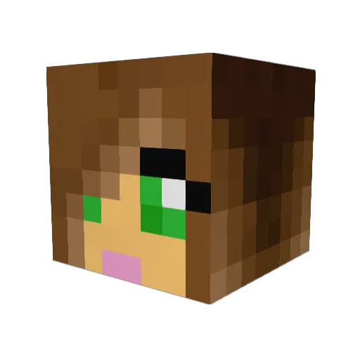 przemek9143 Minecraft avatar head, 3D render