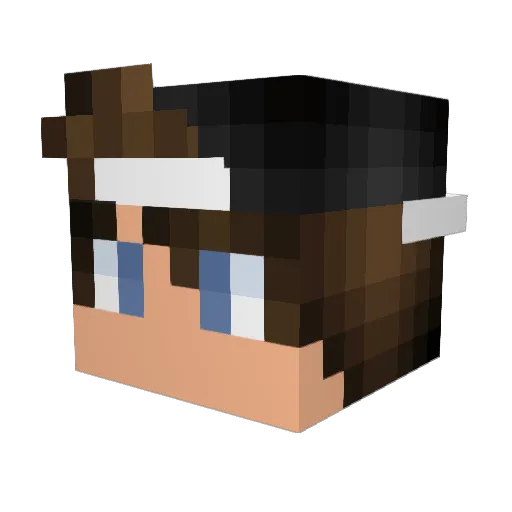psett Minecraft avatar head, 3D render