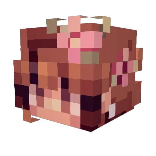 pseudoavocado Minecraft avatar head, 3D render