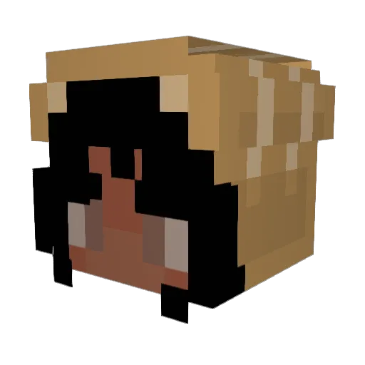 pseudocosmos Minecraft avatar head, 3D render